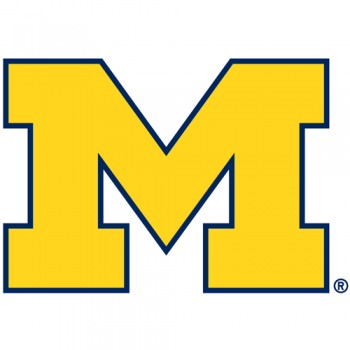 2012-Pres Michigan Wolverines Primary Logo Iron-on Stickers (Heat Transfers)