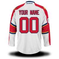 Florida Panthers Custom Letter and Number Kits for Road Jersey