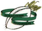 saskatchewan roughriders logo iron on transfers