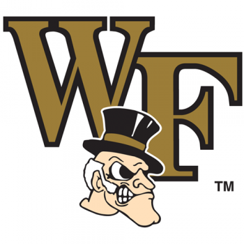 2007-Pres Wake Forest Demon Deacons Secondary Logo Iron-on Stickers (Heat Transfers)