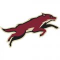 Phoenix Coyotes Alternate Logo  Iron-on Stickers (Heat Transfers) version 1