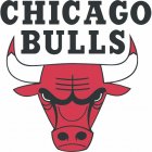 Chicago Bulls Iron Ons