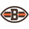 Cleveland Browns Alternate Logo Logo  Iron-on Stickers (Heat Transfers) version 2