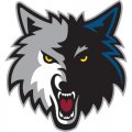 Minnesota Timberwolves Alternate Logo  Decals Stickers version 2