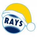 Tampa Bay Rays Baseball Christmas hat iron on transfer