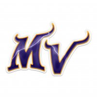 minnesota vikings crystal logo decal sticker