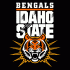 Idaho State Bengals 1997-Pres Alternate Logo Iron-on Stickers (Heat Transfers)