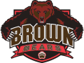 Brown Bears 2003-Pres Alternate Logo Iron-on Stickers (Heat Transfers)