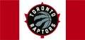 Toronto Raptors decal sticker