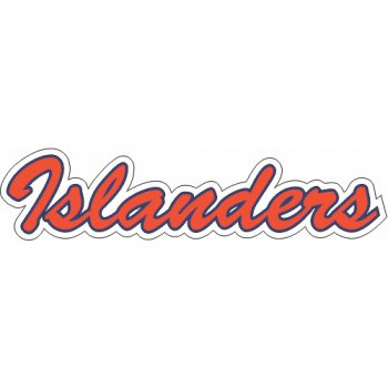 New York Islanders Script Logo  Iron-on Stickers (Heat Transfers)