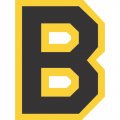 Boston Bruins Primary Logo  Iron-on Stickers (Heat Transfers)