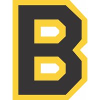 Boston Bruins Primary Logo  Iron-on Stickers (Heat Transfers)