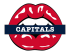 washington capitals script logo iron on transfers