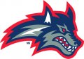 2003-2007 Stony Brook Seawolves Alternate Logo Decals Stickers