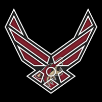 Airforce Arizona Coyotes logo