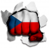 hulk CZECH REPUBLIC Flag iron on transfer