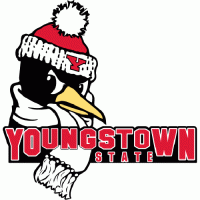 1989-Pres Youngstown State Penguins Primary Logo Decals Stickers