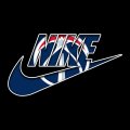 Washington Wizards nike logo iron on sticker