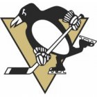 Pittsburgh Penguins Iron Ons