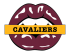 cleveland cavaliers script logo iron on transfers