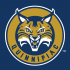 2002-Pres Quinnipiac Bobcats Secondary Logo Iron-on Stickers (Heat Transfers)