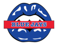 toronto blue jays script logo iron on transfers