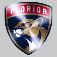 Florida Panthers Stainless steel logo iron on transfer