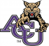 Abilene Christian Wildcats 1997-2012 Primary Logo Decals Stickers