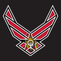 Airforce Ottawa Senators Logo