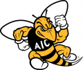 AIC Yellow Jackets 2009-Pres Primary Logo Iron-on Stickers (Heat Transfers)