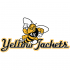 AIC Yellow Jackets 2009-Pres Alternate Logo2 Decals Stickers