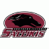 2001-Pres Southern Illinois Salukis Primary Logo Decals Stickers