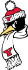 Youngstown State Penguins