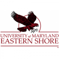 2007-Pres Maryland-Eastern Shore Hawks Alternate Logo Decals Stickers