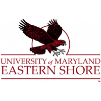 2007-Pres Maryland-Eastern Shore Hawks Alternate Logo Decals Stickers