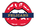 new orleans pelicans script logo iron on transfers