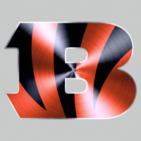 Cincinnati Bengals Stainless steel logo decal sticker