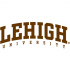 2004-Pres Lehigh Mountain Hawks Wordmark Logo Decals Stickers