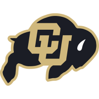 Colorado Buffaloes 2006-Pres Primary Logo Iron-on Stickers (Heat Transfers)