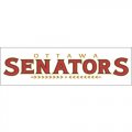 Ottawa Senators Script Logo  Iron-on Stickers (Heat Transfers) version 2