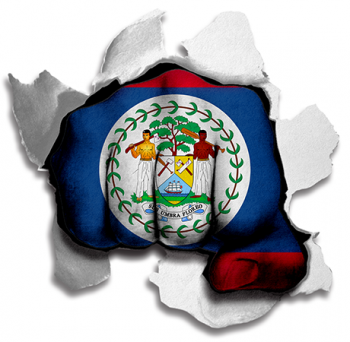 hulk BELIZE Flag iron on transfer