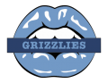 memphis grizzlies script logo iron on transfers