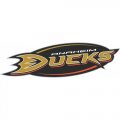 Anaheim Ducks Alternate Logo  Iron-on Stickers (Heat Transfers) version 2