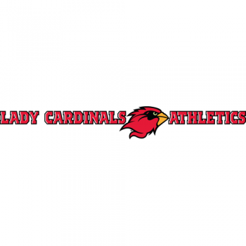 2010-Pres Lamar Cardinals Wordmark Logo Iron-on Stickers (Heat Transfers)