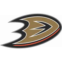 Anaheim Ducks Alternate Logo  Iron-on Stickers (Heat Transfers) version 1