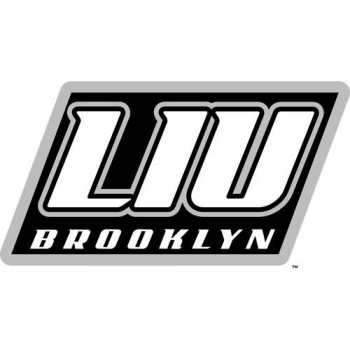 2008-Pres LIU-Brooklyn Blackbirds Alternate Logo Decals Stickers