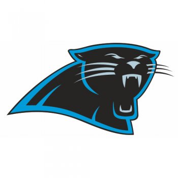 Carolina Panthers Primary Logo  Iron-on Stickers (Heat Transfers)