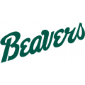 Bemidji State Beavers 2004-Pres Wordmark Logo Iron-on Stickers (Heat Transfers)