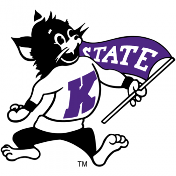 Kansas State Wildcats 1989-Pres Mascot Logo Iron-on Stickers (Heat Transfers)