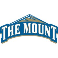 2007-Pres Mount St. Marys Mountaineers Primary Logo Iron-on Stickers (Heat Transfers)